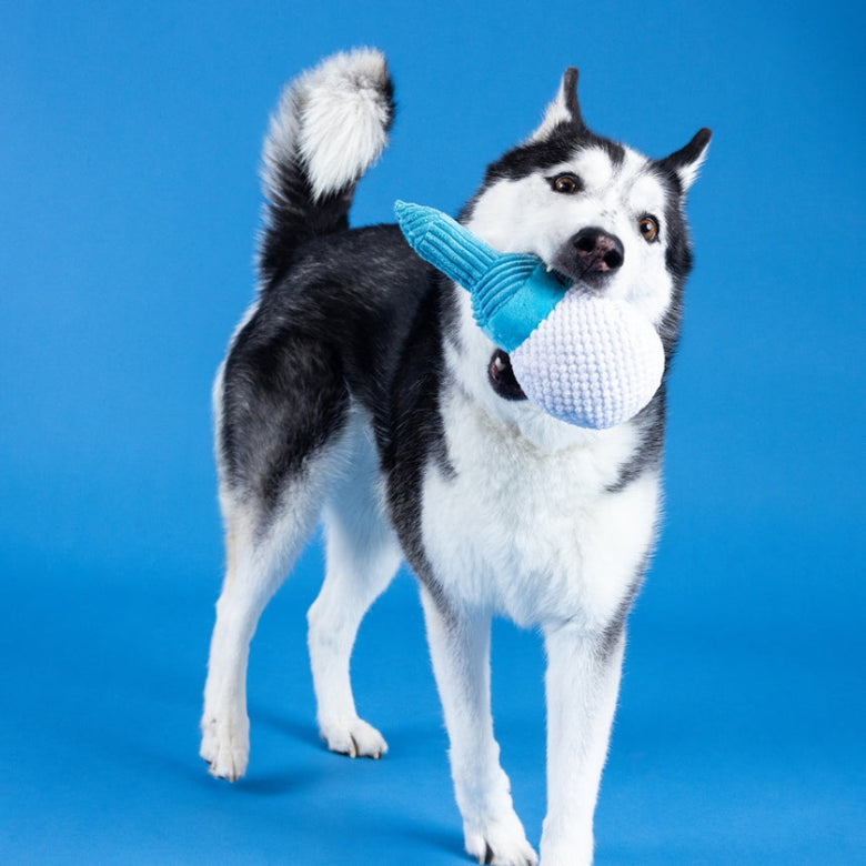 Today Is Tee-rific Golf Tee Plush Squeaky Dog Toy