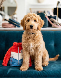 Haute Diggity Dog Haute Diggity Dog - Muttcler Puffer Jacket