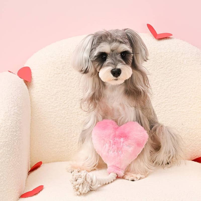 Hugsmart Products Inc dog toys Love is in the air Pink Heart Rope Tug Plush Squeak Dog Toy