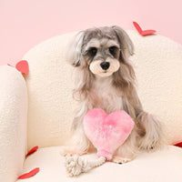 Hugsmart Products Inc dog toys Love is in the air Pink Heart Rope Tug Plush Squeak Dog Toy