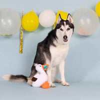 PetShop by Fringe Studio dog toys Lunch Break Seagull with Fish Crinkle Squeak Plush Dog Toy