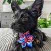 Huxley & Kent Bow Tie American Tie Dye Pinwheel Pet Collar Attachment - 2 Sizes