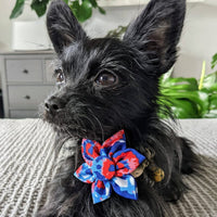 Huxley & Kent Bow Tie American Tie Dye Pinwheel Pet Collar Attachment - 2 Sizes
