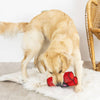 Pet Shop by Fringe Studio dog toys You're Dynamite Plush Squeak Dog Toy