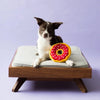 Holiday Cherry Red Donutz Sprinkles Squeaky Dog Toy