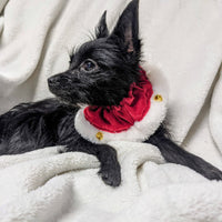 Christmas Santa Red Holiday Ruff with Jingle Bells for Pets
