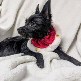 Christmas Santa Red Holiday Ruff with Jingle Bells for Pets