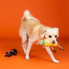 PetShop by Fringe Studio dog toys Halloween Oh My Gourd Pumpkin & Skeleton Plush Squeak Dog Toy Set - 2 Pc