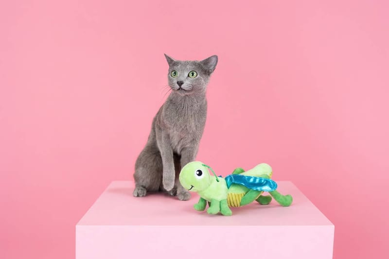 Pet Shop by Fringe Studio Cat Toys Hop On By Kicker Green Cat Toy