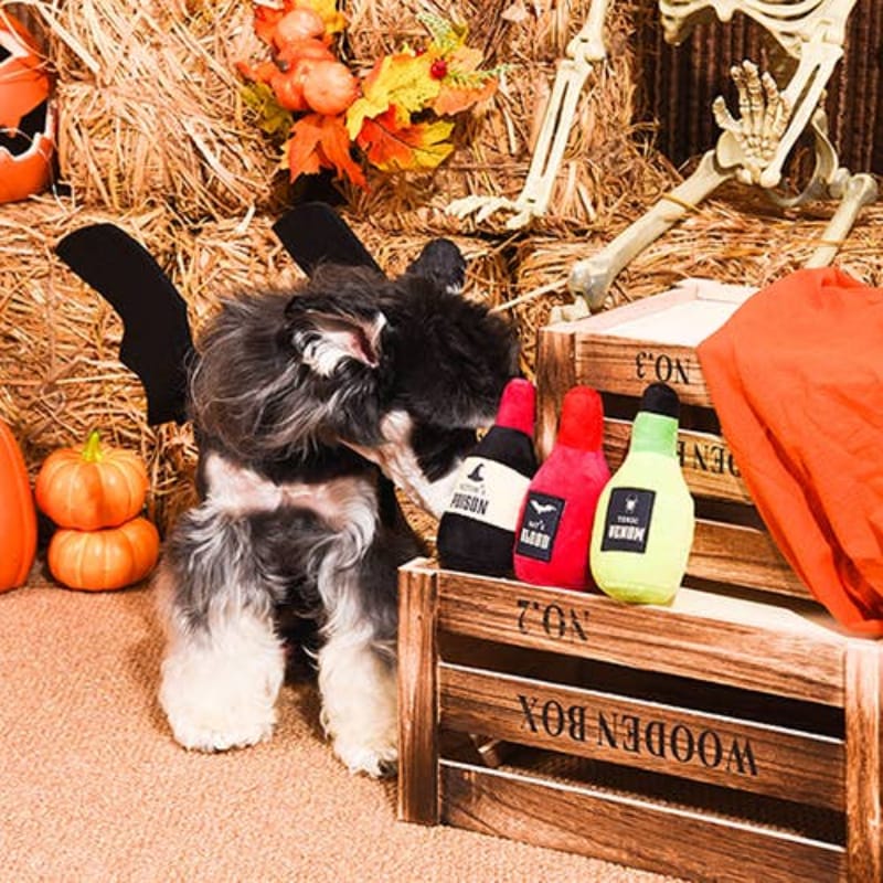 Hugsmart Products Inc dog toys Howloween Night Mystery Potion Plush Squeaky Dog Toy Set - 3 Pc