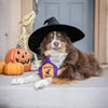 Huxley & Kent dog toys Halloween Witch's Brew Plush Squeaky Dog Toy