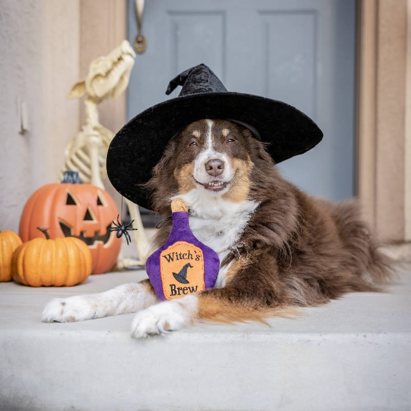 Huxley & Kent dog toys Halloween Witch's Brew Plush Squeaky Dog Toy