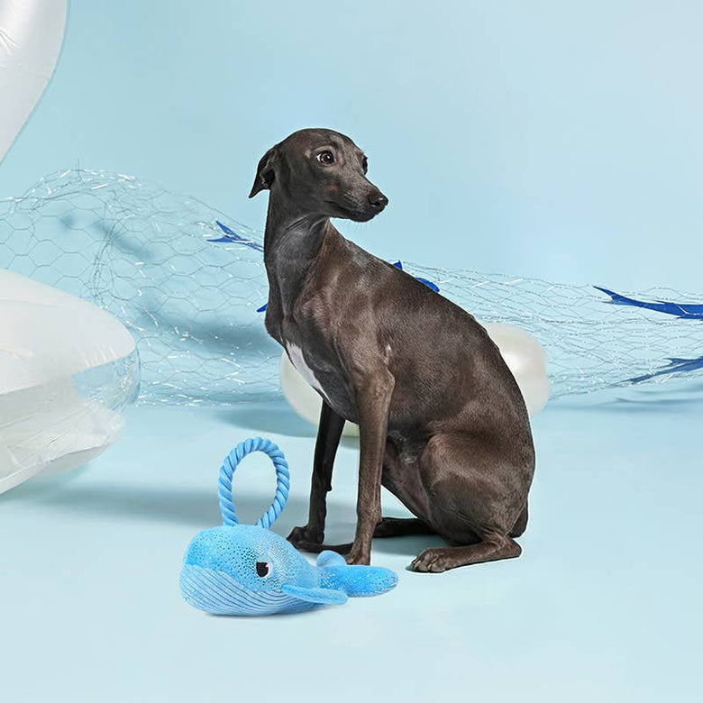 Hugsmart Products Inc Hugsmart Products Inc - HugSmart Pet - Ocean Pals  | Whale - Dog Rope Toy