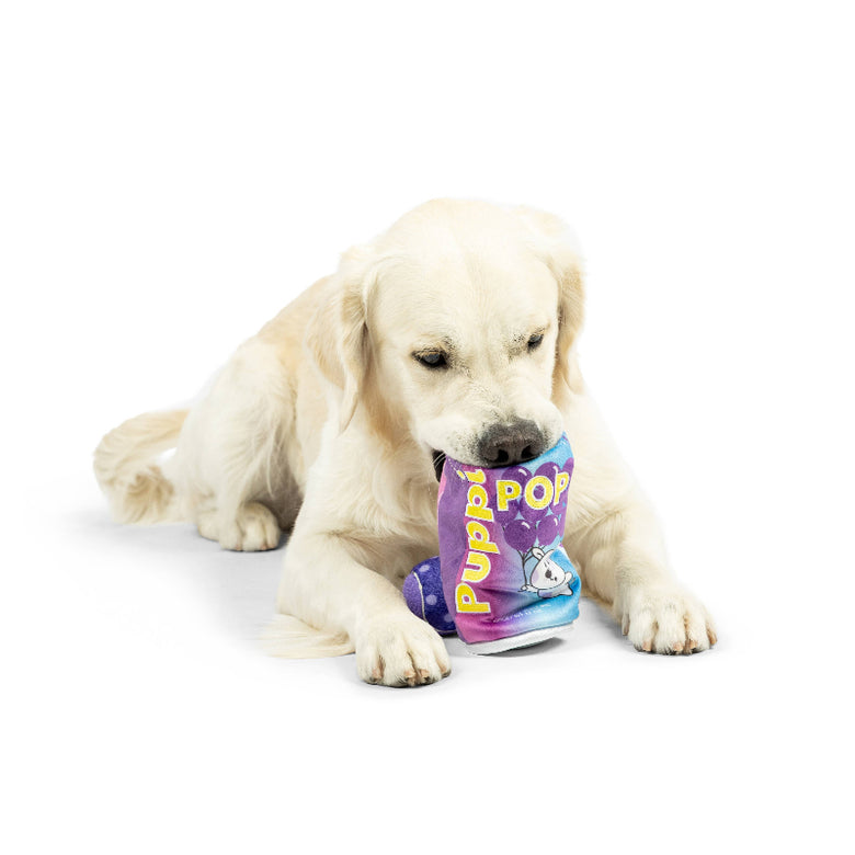 Huxley & Kent Huxley & Kent - Squeak 'n Peek Puppi Pop Grape Dog Toy: Small