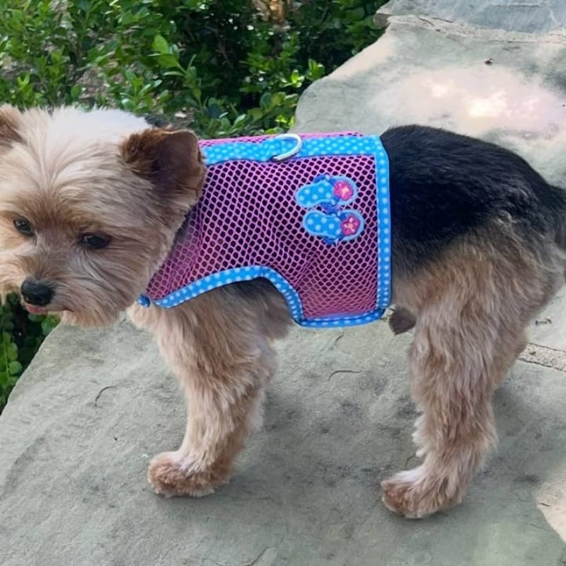 Doggie Design, Inc Harnesses XS Under the Sea Collection - Cool Mesh Dog Harness with Leash - Pink and Blue Flip Flop