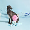 Hugsmart Products Inc Hugsmart Products Inc - HugSmart Pet - Ocean Pals  | Squid - Dog Plush Toy