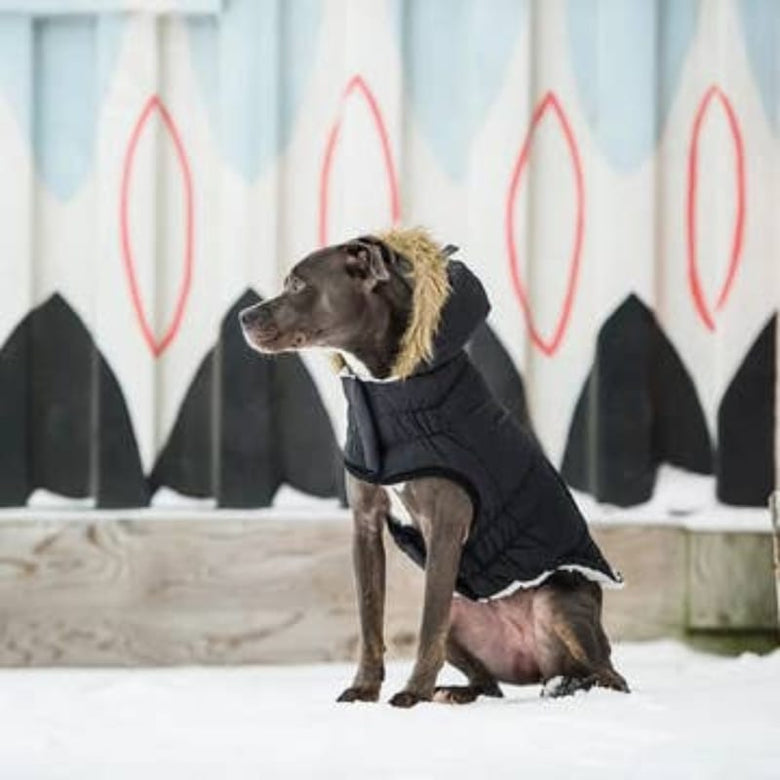 GF Pet Jackets Black Elasto-Fit Urban Dog Parka