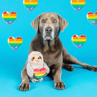 Follow Your Rainbow Heart Sloth Plush Squeaky Dog Toy