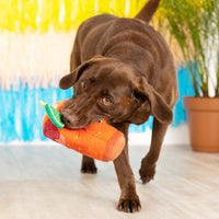 Muttchelada with Lime Adornment Plush Squeaky Dog Toy