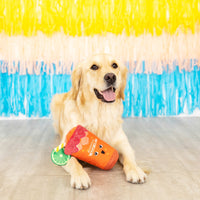 Muttchelada with Lime Adornment Plush Squeaky Dog Toy