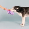 "I'll Grow On You" Pink Flower Purple Sloth Plush Squeaky Dog Toy