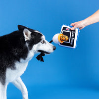 Take It To The Hoop Basketball Slam Dunk Plush Squeaky Rope Tug Dog Toy