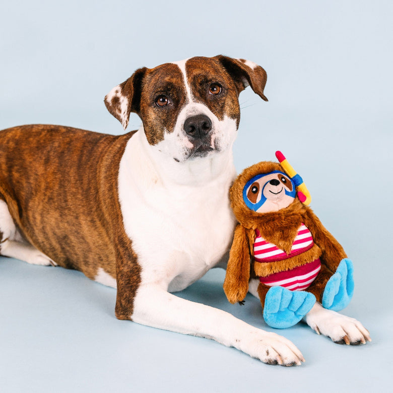Swimmin' With The Fishes Beach Sloth Summer Plush Squeak Dog Toy