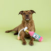 Sweet Summer Vibes Spritzer Bottle Rope Plush Squeaky Pink Dog Toy