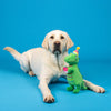 I'm How Old Birthday Rex Plush Squeaky Dog Toy