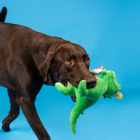 I'm How Old Birthday Rex Plush Squeaky Dog Toy