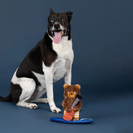 Petshop by Fringe Studio Dog Toys Water You Waiting For Lake Life Paddle Board Bear Plush Squeaky Dog Toy