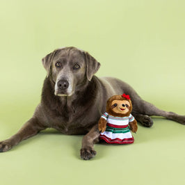 Petshop by Fringe Studio dog toys You Had Me At Hola Fiesta Sloth Plush Squeaky Dog Toy