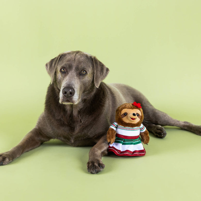You Had Me At Hola Fiesta Sloth Plush Squeaky Dog Toy