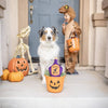 Huxley & Kent dog toys Halloween Witch's Brew Plush Squeaky Dog Toy