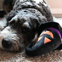 Huxley & Kent dog toys Spooky Witch Hat Plush Squeaky Dog Toy