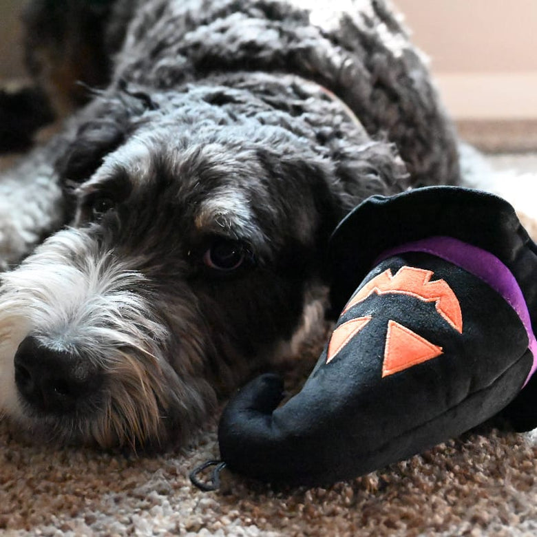 Huxley & Kent dog toys Spooky Witch Hat Plush Squeaky Dog Toy