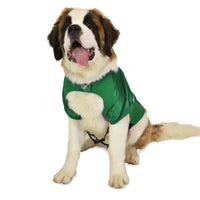 Green Bay Packers Big Pet Stretch Dog Jersey