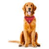 SF 49ers Pet Bandana