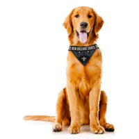 Saints Pet Bandana