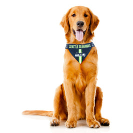 Seahawks Pet Bandana
