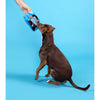 BARK dog toys Dogo Dunkers Plush Interactive Dog Toy Set - 3pc