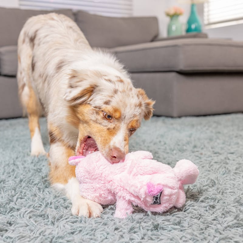 Huxley & Kent Dog Toys Slappies Piggie Smalls Pink Plush Squeak Dog Toy