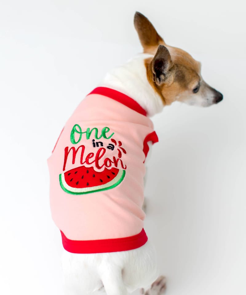 Parisian Pet® Tee's One in a Melon Pink Dog T-Shirt