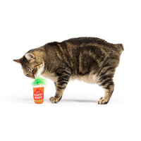 Huxley & Kent Cat Toys Fluffy Mary Spicy Purr-basco Plush Cat Toy