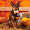 BARK dog toys Halloween Spooky Boo Brew Plush Squeak Dog Toy
