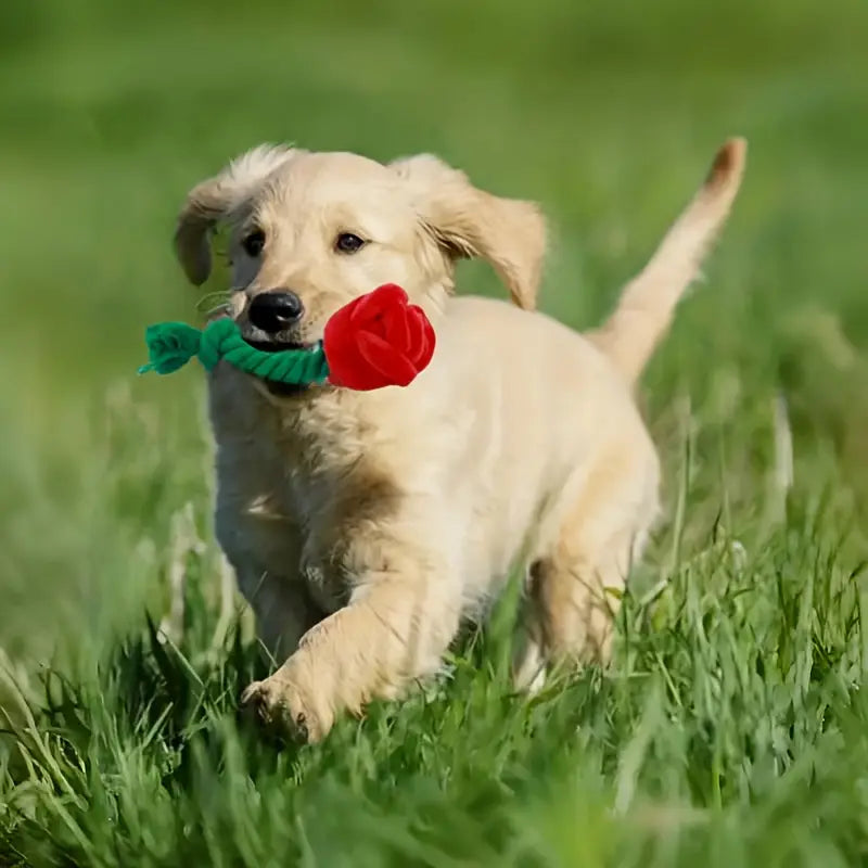 rose flower dog toy Plush Red Rose Flower Rope Tug Dog Toy