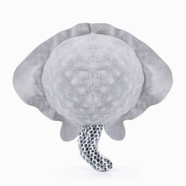 Hugsmart Products Inc dog toys Ocean Pals Stingray Smiley Face Super Ball Mesh Plush Dog Toy