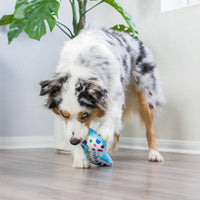Huxley & Kent dog toys It's My Barkday Bone (Double Sided) For Dogs - 2 Sizes