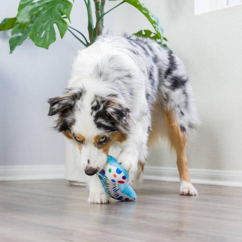 Huxley & Kent dog toys It's My Barkday Bone (Double Sided) For Dogs - 2 Sizes
