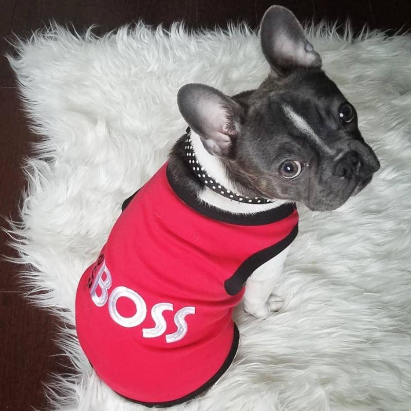 Parisian Pet® Dog Apparel The Boss Red Dog Tee